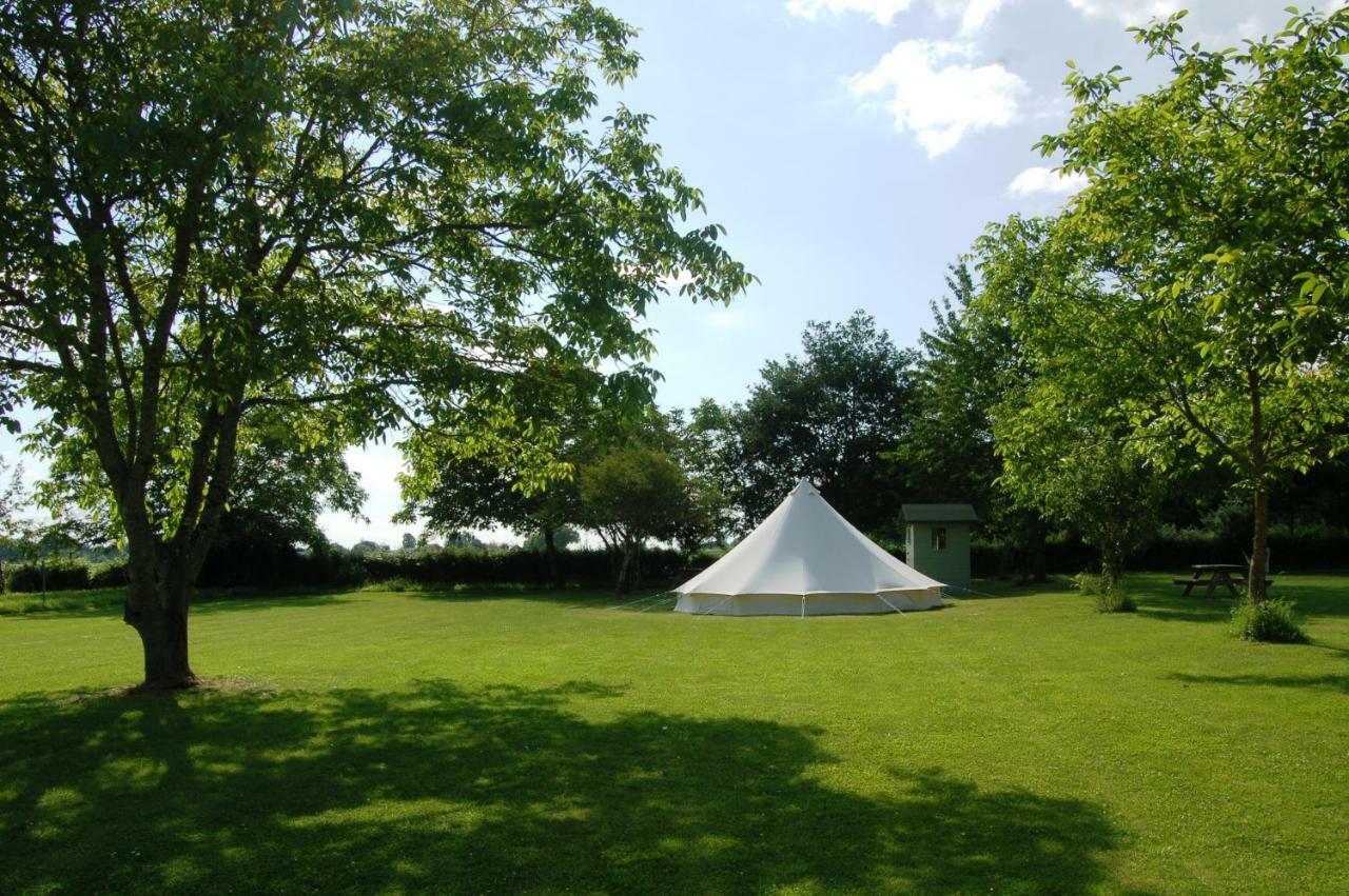 Camping La Foret De Tesse Buitenkant foto