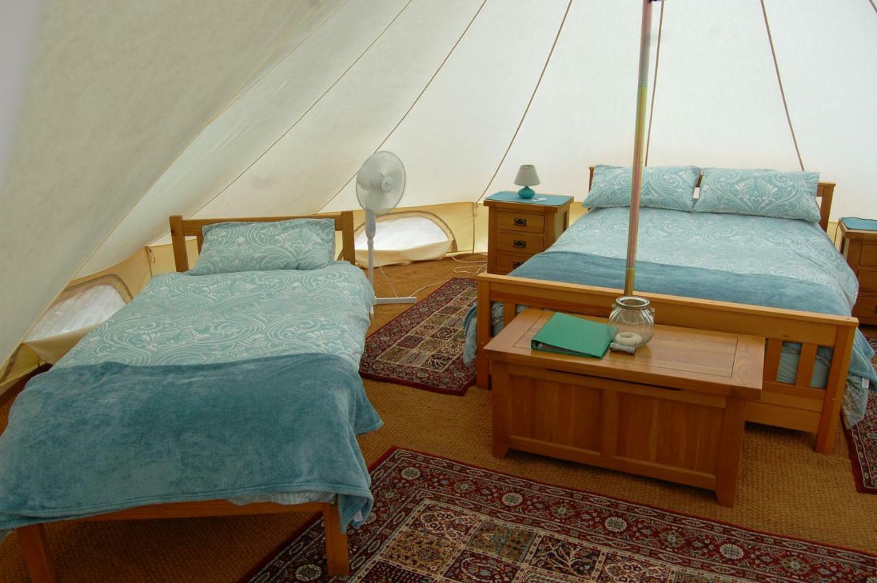 Camping La Foret De Tesse Buitenkant foto
